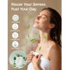 image:imageMomcozy 14 Pack Shower Steamers with Eucalyptus Leaf Shape Aromatherapy with Natural Peppermint amp Eucalyptus Essential Oil Relaxation LongLasting Ideal Spa Gifts for HerHimEucalyptus